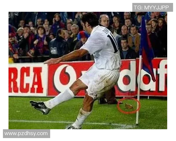 揭秘欧美足球球星纹身背后的故事与他们独特的人生信仰